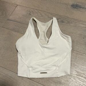 Whitney Simmons gym shark tank